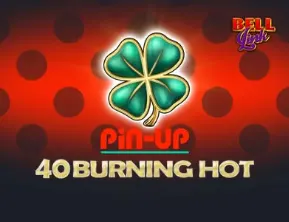 Pin Up — Краткие параметры кассы